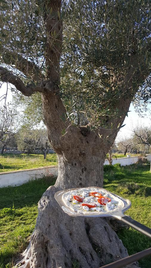 Masseria Cesarina B&B 카스텔라나그로테 외부 사진